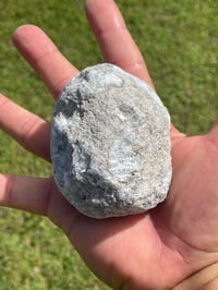 Image 9 of Celestite Cluster Specimen #1790