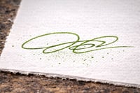 Image 3 of TIMBER JOEY (75)