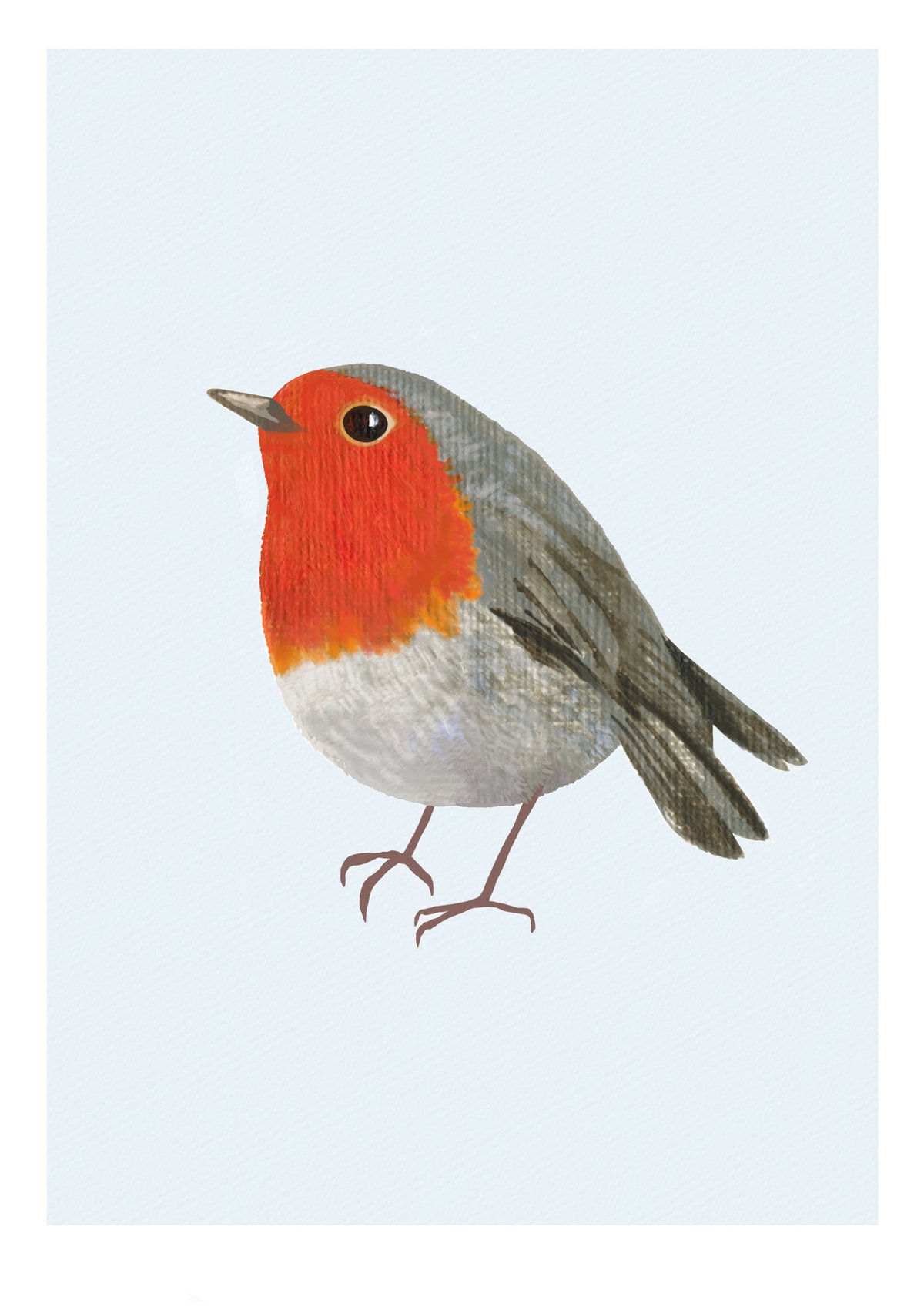 Robin Print & Cards