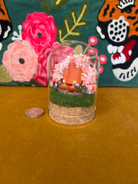 Image 3 of Small calcifer display dome 