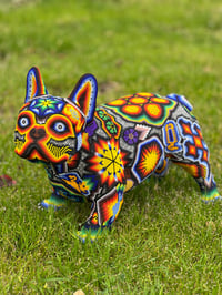 Image 1 of Large Frenchie 08