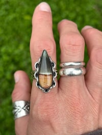 Image 3 of Polychrome Picture Jasper ⛓️Ring