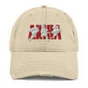 Akira Distressed Dad Hat