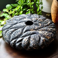 Image 2 of Oak Wood Hollow Form w/ Texture & Ebonized