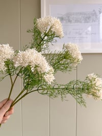 Image 1 of Cottage Elderflower Stems ( set of 3 )