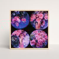 Image 5 of MOON LANDSCAPES, ROSES