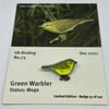 Green Warbler - December 2021 - UK Birding Pins - Enamel Pin Badge