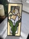 Image of Iris
