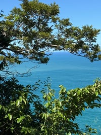 Image 24 of Paréo Amants tropicaux