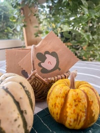 Image 2 of Les Pumpkichats