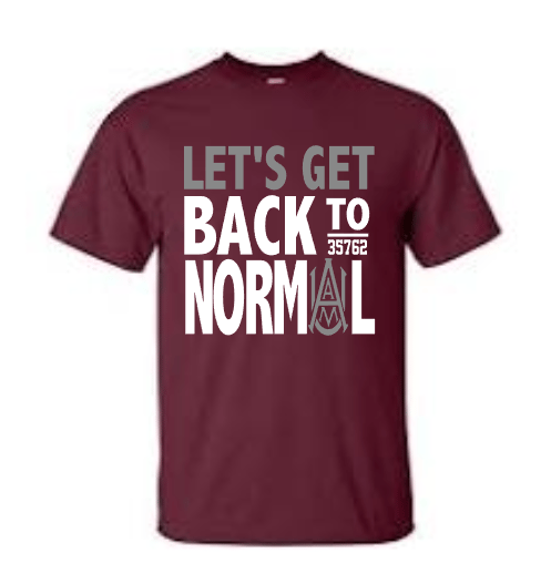 Image of Back To Normal 