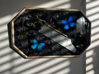 Image 2 of Gilded Bone Saw