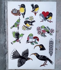 Birds a3