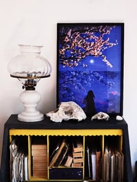 Image 2 of NIGHT BLOSSOM 