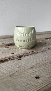 Weird Beautiful Amazing Salvie