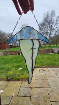 Image 4 of Mushroom bum 4