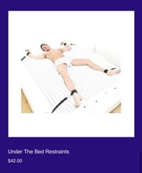 Under bed restraints 