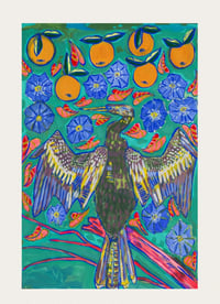 Image 2 of Snakebird FLA morning glory and my icon oranges