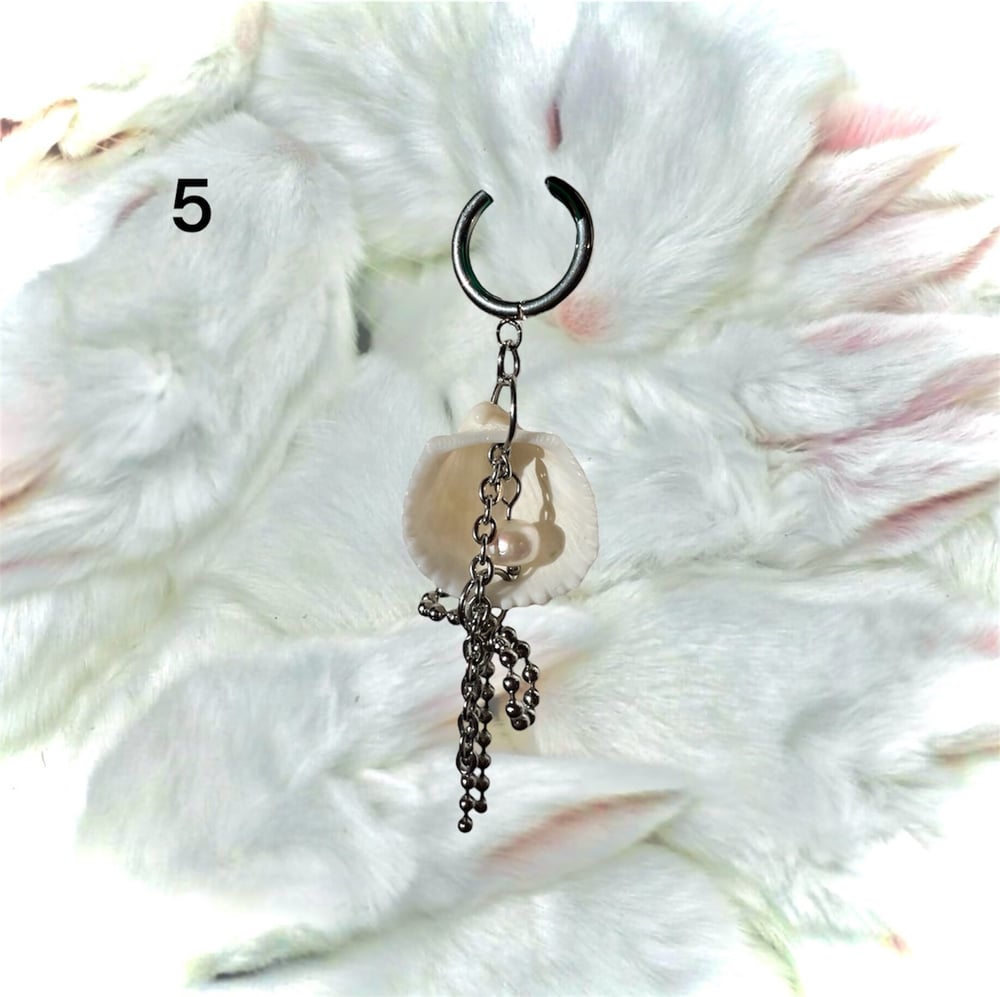 Earrings