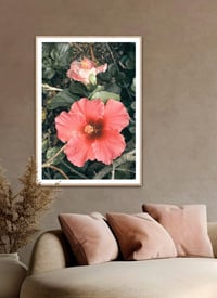 Image 3 of Hibiscus fine art photograph 