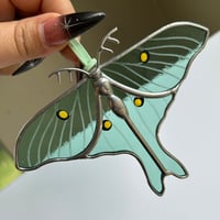 Image 2 of Luna Moth
