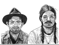 Avett Brothers