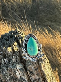 Image 1 of The Cactus Bloom