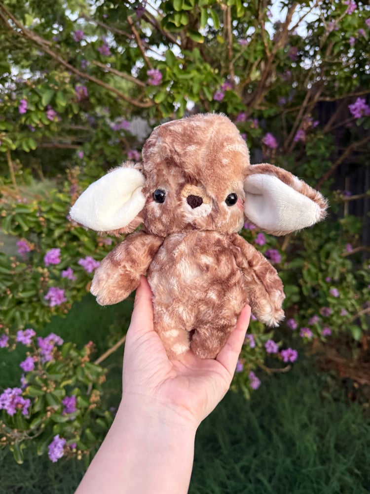 Image of Baby deer