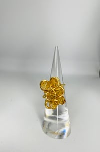 Image 1 of Carthage - Amber