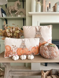 Image 1 of SALE! Woodland Pumpkin Cushions ( Set or Singles )