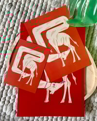 Image 3 of Girafe 🦒 