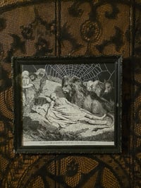 Image 1 of “Lion and The Ass" 1800's bible page with preserved spider web