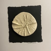 Image 3 of Tree Ring Cards