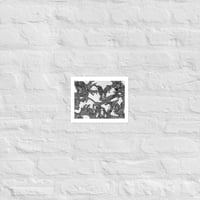 Image 1 of Monachopsis