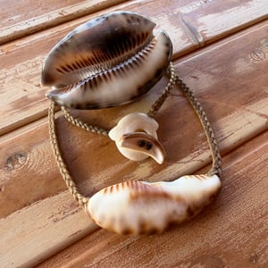 Image of Hawaiian cowrie lip necklace on hand braided sinew