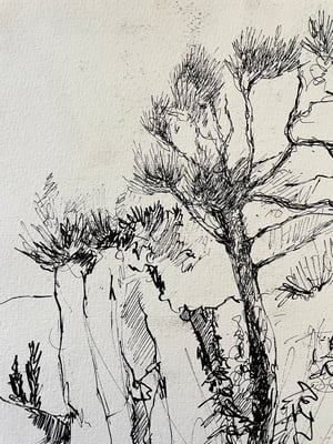 Image of VINTAGE DUTCH DRAWING: LANDSCAPE #7