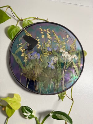 Wildflower field with black butterfly