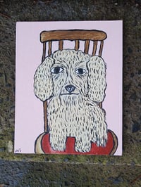 Image 4 of Crusty Dog