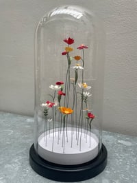 Image 5 of Jardin intérieur, fleurs sous cloche XL -3