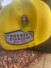 Sitting pretty Rogue