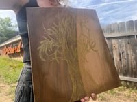 Image 2 of B-cone on wood 