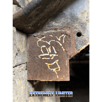 Image 4 of Rust t-shirt