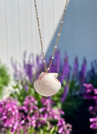 Image 1 of Scallop Shell Necklace N185