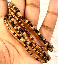 Image 1 of Starry Serengeti (2pk)