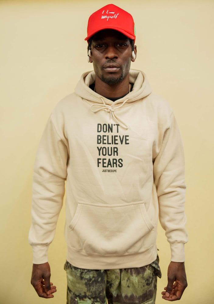 Image of Don’t Believe Your Fears Hoodie