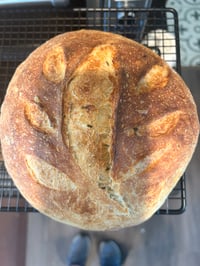 Sourdough Loaf