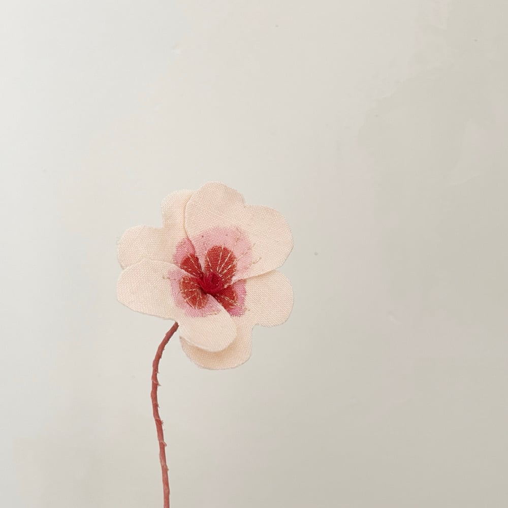 Image of cocon mini mini flowers 