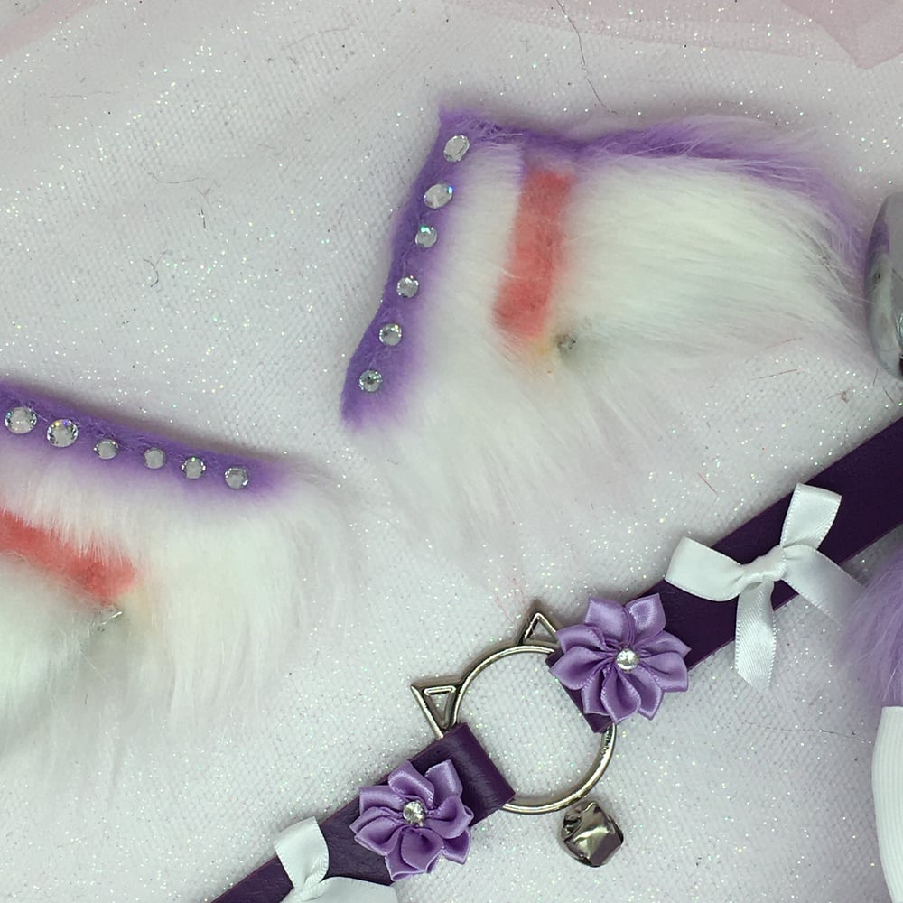 Purple   Kitten petplay set 😻