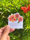 Helianthus Annuus (Sunflower) Watercolor Waterproof Vinyl Sticker 