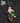 Kagome Peeker